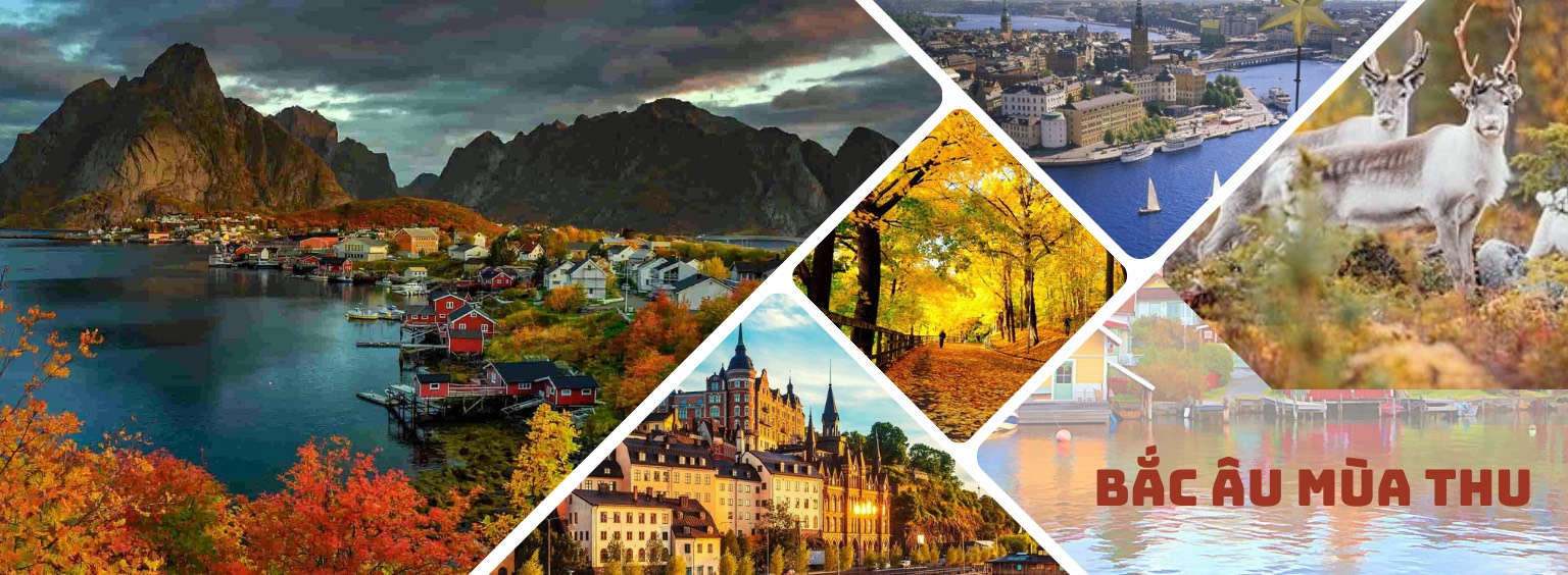 Du lịch Sơn Việt 4