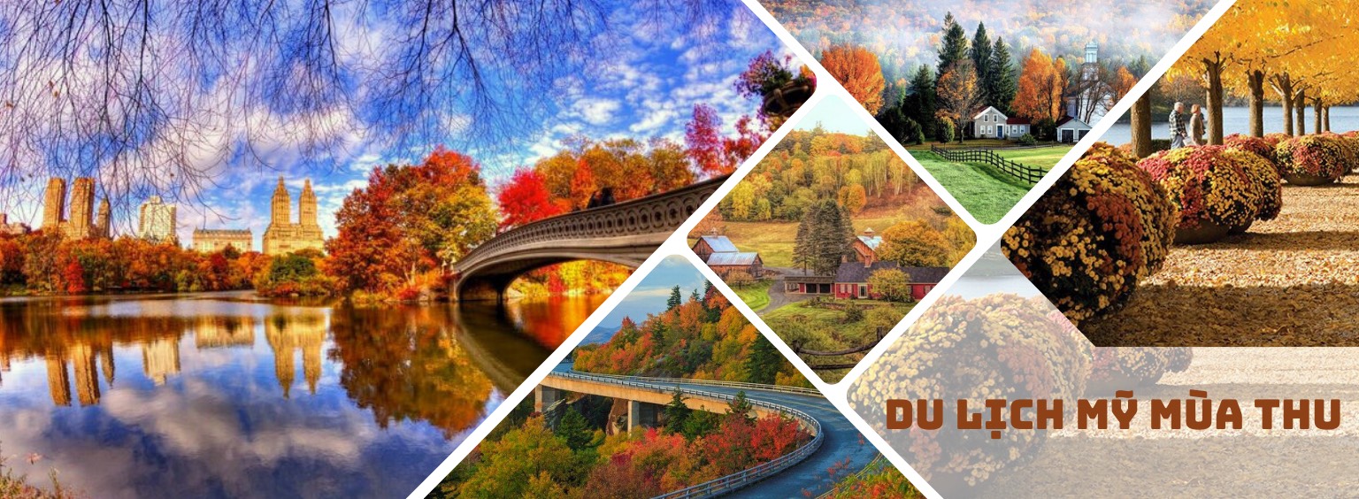 Du lịch Sơn Việt 2