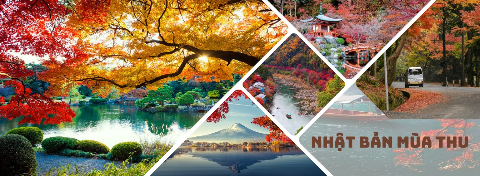 Du lịch Sơn Việt 1