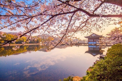 HÀ NỘI - THƯỢNG HẢI - TÂY Ô TRẤN – HÀNG CHÂU – HỒ THANH SƠN 5 NGÀY 4 ĐÊM, BAY CHINA EASTERN AIRLINES