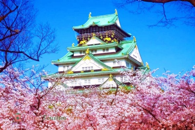 DU LỊCH NHẬT BẢN MÙA HOA ANH ĐÀO 2026: HÀ NỘI – TOKYO– PHÚ SĨ – KYOTO - OSAKA 6 ngày 5 đêm, bay VN (về sáng)