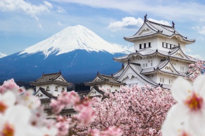 DU LỊCH NHẬT BẢN MÙA HOA ANH ĐÀO SỚM 2026: HÀ NỘI – OSAKA – KYOTO – PHÚ SĨ - TOKYO 6 ngày 5 đêm, bay VN (về chiều)