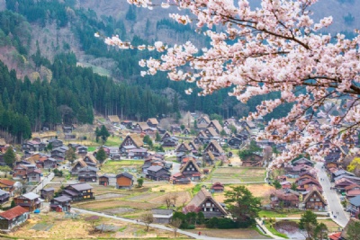 DU LỊCH NHẬT BẢN MÙA XUÂN 2026: HÀ NỘI – LÀNG CỔ SHIRAKAWAGO – PHÚ SĨ - TOKYO 6 ngày 5 đêm, bay VN