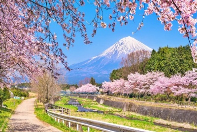 DU LỊCH NHẬT BẢN MÙA HOA ANH ĐÀO 2026: HÀ NỘI - HAKONE - MATSUMOTO - SHIRAWAKAGO - NAGOYA 6 ngày 5 đêm, bay VN